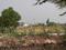 Bapatla Town Main Image 1