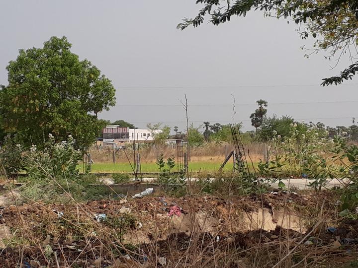 Bapatla Town Main Image 1