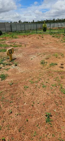 Devanahalli Main Image 1