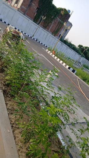 Moti Jheel Colony, Aishbagh Main Image 1