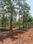Sagar highway plots Main Image 1