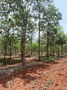 Image of 302 Sq.ft Residential Plot / Land for sale in LB Nagar, Hyderabad for Rs. 750000