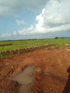 Image of 2000 Sq.ft Residential Plot / Land for sale in Nayapalli, Bhubaneswar for Rs. 1600000