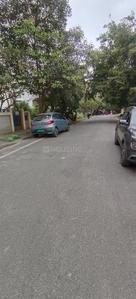 8th Phase Plot View 2