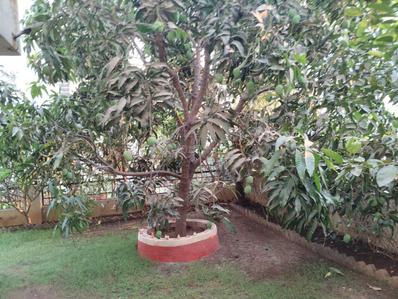 Image of 3230 Sq.ft 4 BHK Villa for sale in Chilhar, Mumbai for Rs. 15000000