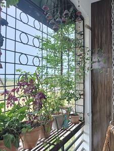 Balcony Image of 1100 Sq.ft 2 BHK Apartment / Flat for sale in Rajkala Sanika Vihar, Bhilgaon Nagpur for Rs. 3700000