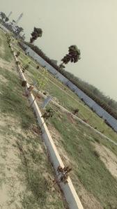 Image of 1742 Sq.ft Residential Plot / Land for sale in Banbhag, Purnea for Rs. 1000000