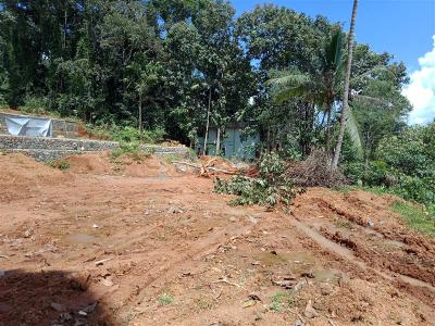 Image of 9146 Sq.ft Residential Plot / Land for sale in Nagampadam, Kottayam for Rs. 225000