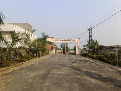 Image of 1250 Sq.ft Residential Plot / Land for sale in Bodri, Bilaspur for Rs. 1500000