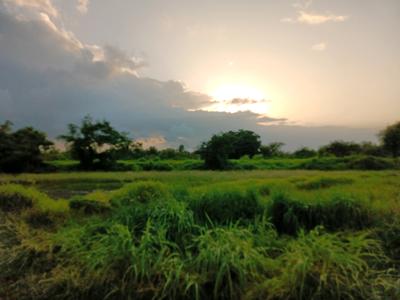 Image of 1000 Sq.ft Residential Plot / Land for sale in Swarajya Infrastructure Ranjanpada, Ranjanpada, Navi Mumbai for Rs. 700000