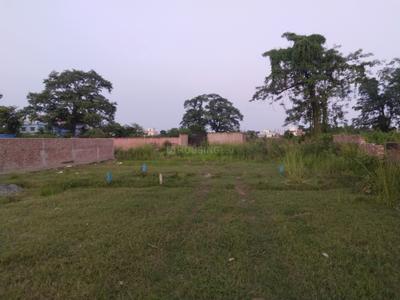Image of 2000 Sq.ft Residential Plot / Land for sale in Madhubani, Purnea for Rs. 2100000
