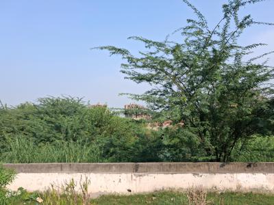 Image of 1800 Sq.ft Residential Plot / Land for sale in Sector 113, Noida for Rs. 28500000