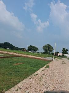 Barai Plot View 3