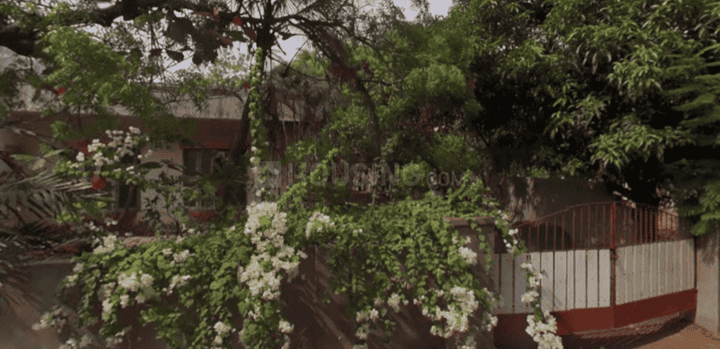 Saraswathi Nagar, Neelankarai More Images 1