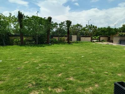 Image of 1250 Sq.ft Residential Plot / Land for sale in Nevta Village, Jaipur for Rs. 3455000