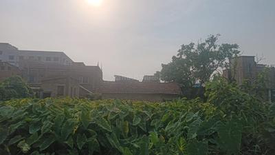 Belur Math Plot View 3