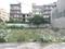 Block PB Plot View 1