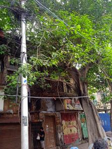Image of 3456 Sq.ft 10 BHK Independent House for sale in Kalighat, Kolkata for Rs. 65000000