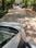 Block B, Sector 99 Main Image 1