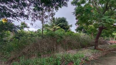Image of 3200 Sq.ft Residential Plot / Land for sale in Doddaballapura, Bengaluru for Rs. 17000000