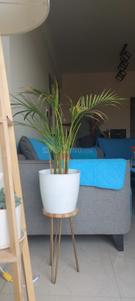 Balcony Image of 999 Sq.ft 2 BHK Apartment / Flat for sale in Saibya Senary, Harlur Bengaluru for Rs. 5800000