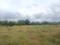 MSR PROPERTIES Main Image 1
