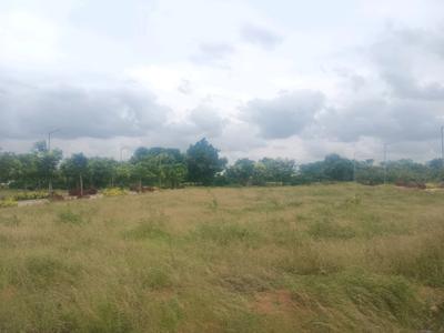 MSR PROPERTIES Plot View 1