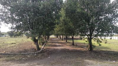 Image of 600 Sq.ft Residential Plot / Land for sale in Sameera Mahalakshmi Nagar, Red Hills, Chennai for Rs. 930000