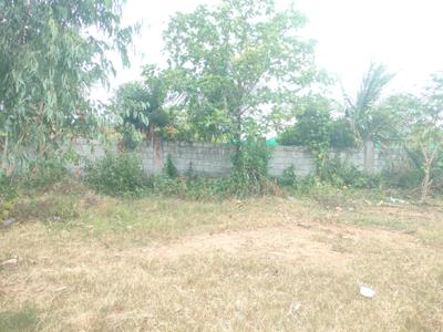 Mullur Plot View 3