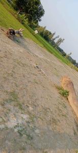Mohanlalganj Plot View 2