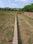 Bela Plot View 2