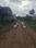 Dharitri New Royal Enclave Internal Roads 2