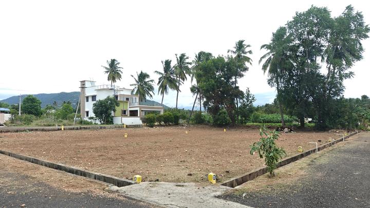 Karamadai Main Image 1