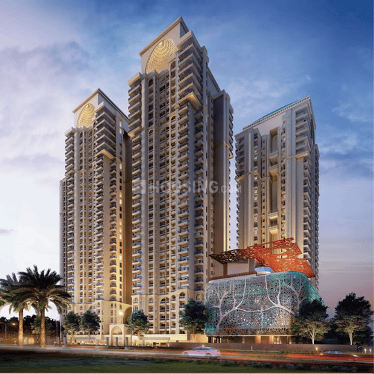 Apex Quebec Main Image 1