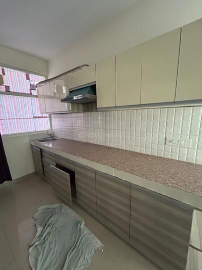 Tulip Lemon Main Image 1