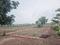 Perne Plot View 2