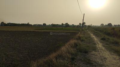 Masaurhi Plot View 3