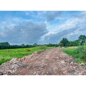 Image of 1440 Sq.ft Residential Plot / Land for sale in Bagi, Kolkata for Rs. 320000