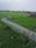 Parao Plot View 2