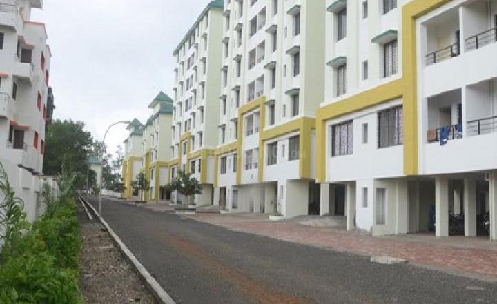 Kohinoor Begonia Main Image 1