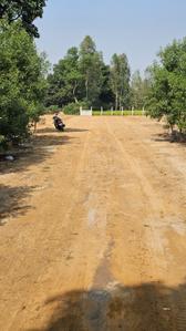 Image of 1250 Sq.ft Residential Plot / Land for sale in Gosainganj, Lucknow for Rs. 2187500