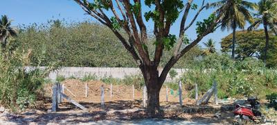 Image of 1200 Sq.ft Residential Plot / Land for sale in Mailasandra, Bengaluru for Rs. 16000000