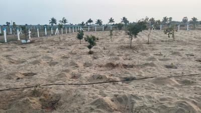 Image of 23000 Sq.ft 9 BHK Farm House for sale in Manju Blue Spot 3 0, Mahabalipuram, Chennai for Rs. 30000000