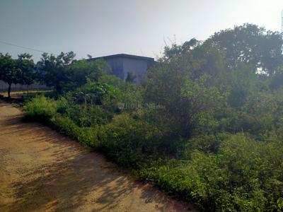 Residential Plot