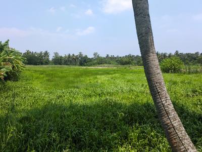Residential Plot