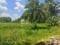 Diamond Park, Joka Main Image 1
