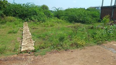 Image of 1000 Sq.ft Residential Plot / Land for sale in Maharajpura, Gwalior for Rs. 2500000