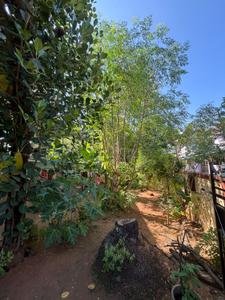 Image of 1200 Sq.ft 3 BHK Independent House for sale in Ayyanthole, Thrissur for Rs. 8800000