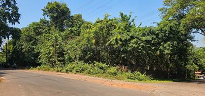 Image of 1444 Sq.ft Residential Plot / Land for sale in Assagao, Goa for Rs. 187720000