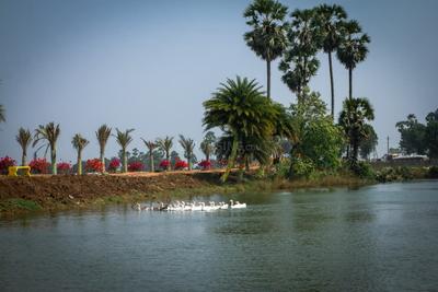 Image of 167 Sq.ft Residential Plot / Land for sale in Thagarapuvalasa, Visakhapatnam for Rs. 3173000